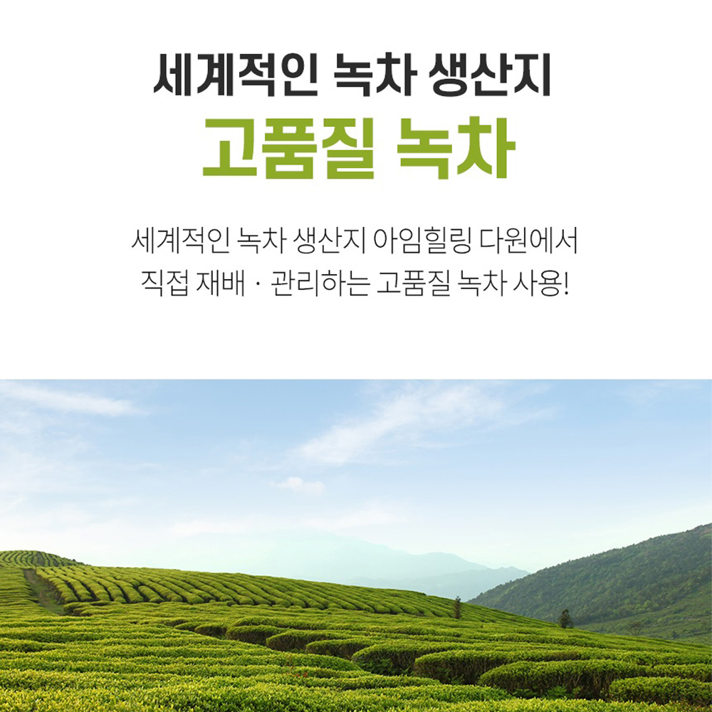 녹차 분말 가루 스틱 녹차추출물분말 100% 효능 - 상세 이미지 3
