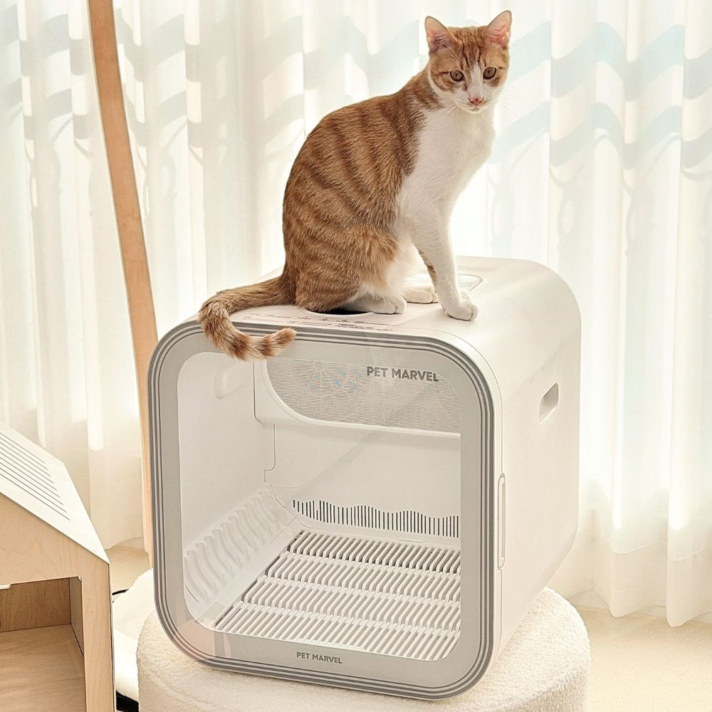 [디클펫] 펫드라이룸 듀얼팬 빠른건조 강아지 고양이 드라이기 펫마블 러브에어 프로