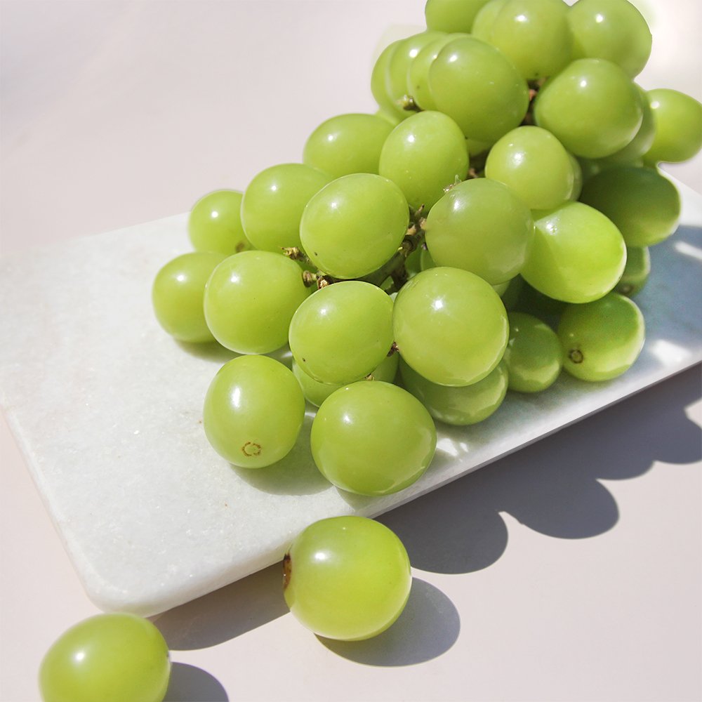 여름 캠벨 포도 2kg(특품) 샤인머스켓 이미지 8