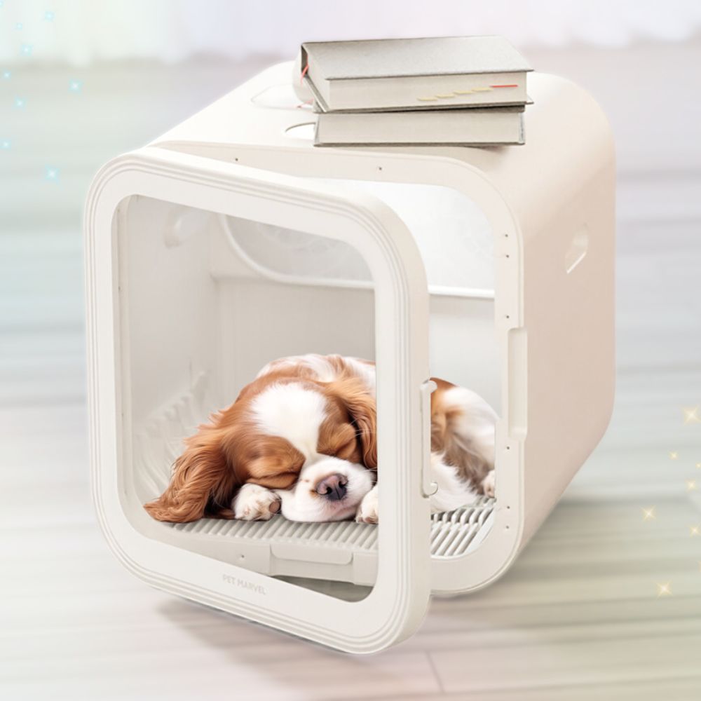 [디클펫] 펫드라이룸 듀얼팬 빠른건조 강아지 고양이 드라이기 펫마블 러브에어 프로