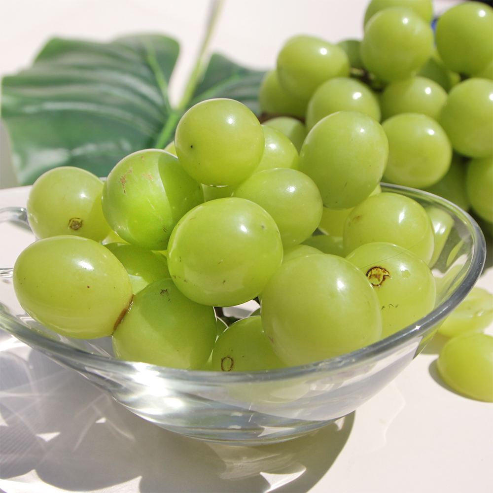 여름 캠벨 포도 2kg(특품) 샤인머스켓 이미지 7
