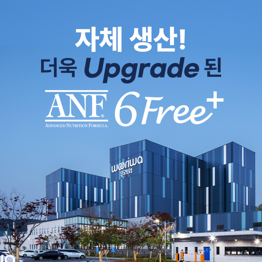 [SET ANF 식스프리플러스 인도어 캣 어덜트 5.6kg+캔 95gx2+(증정)캣닢토이+N포인트 3천원 사진 2