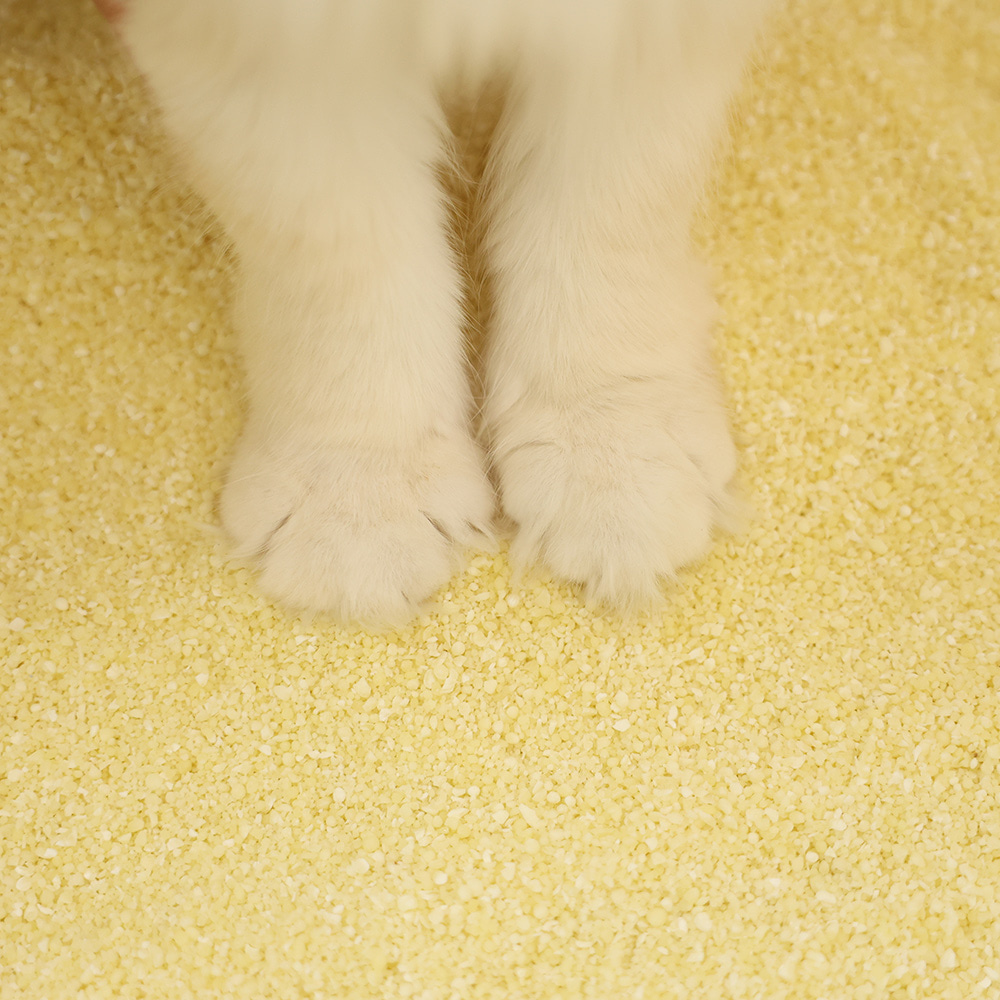 아메리칸솔루션 베이직 고양이 반려묘 화장실 모래 카사바 4.55kg x3개 (1box) - 상세 이미지 5