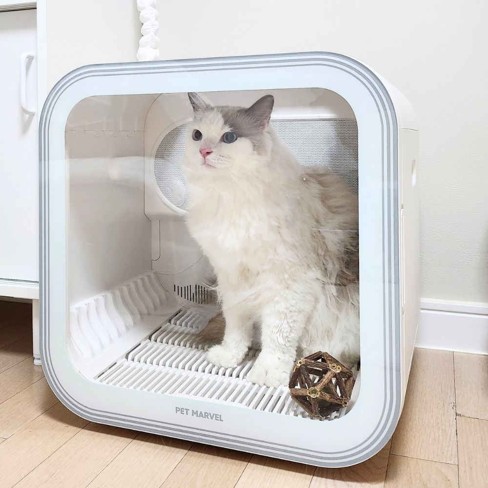 [디클펫] 펫드라이룸 듀얼팬 빠른건조 강아지 고양이 드라이기 펫마블 러브에어 프로