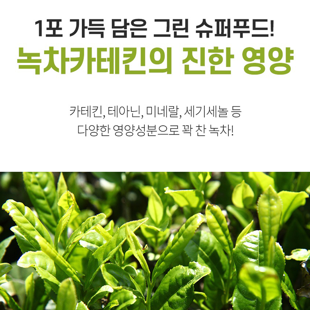 녹차 분말 가루 스틱 녹차추출물분말 100% 효능 이미지 7