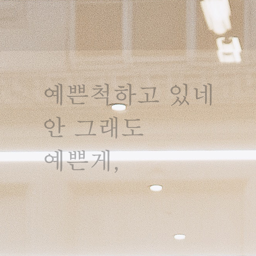 레터링 스티커 예쁜척하고 있네 안 그래도 예쁜게 L-003S 검정 - 상세 이미지 3
