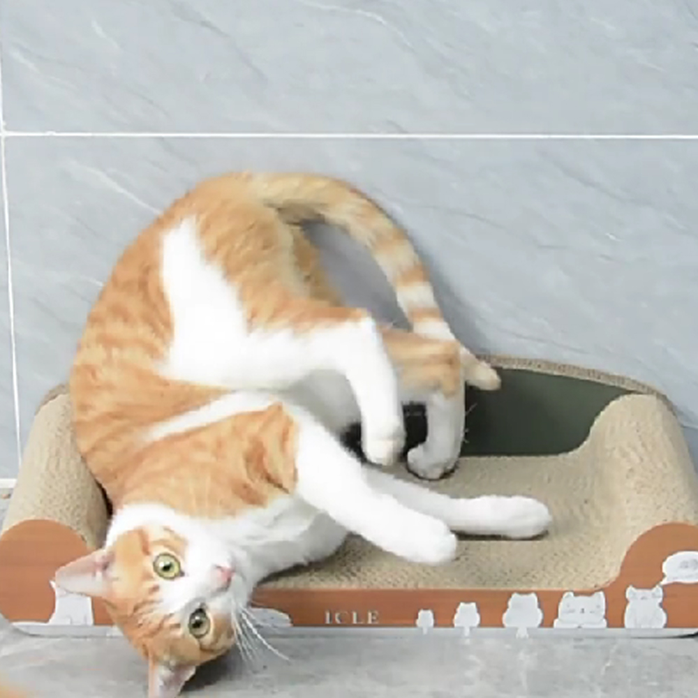 개과천선 어몽드 큐어 고양이 소파 스크래쳐 발톱 관리 스트레스 해소 사각 침대 쿠션 휴식 - 상세 이미지 3