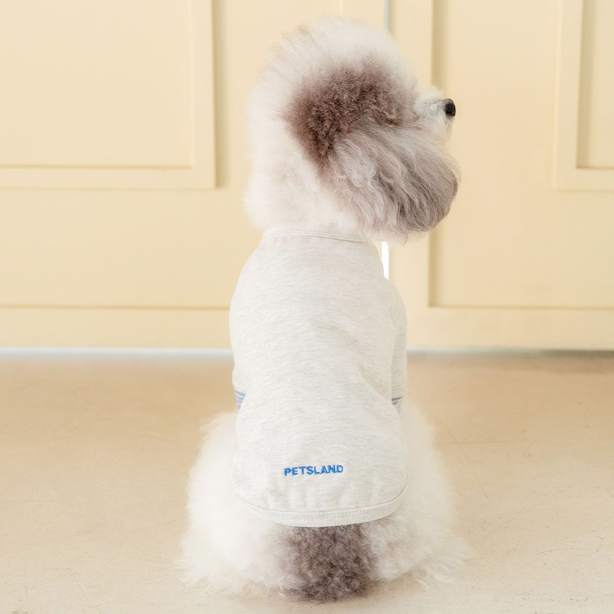 강아지겨울옷 소형견 실내복 강아지옷 레이어드 티셔츠