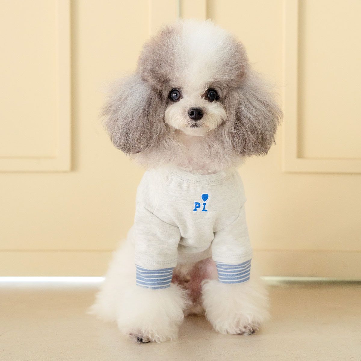 강아지겨울옷 소형견 실내복 강아지옷 레이어드 티셔츠