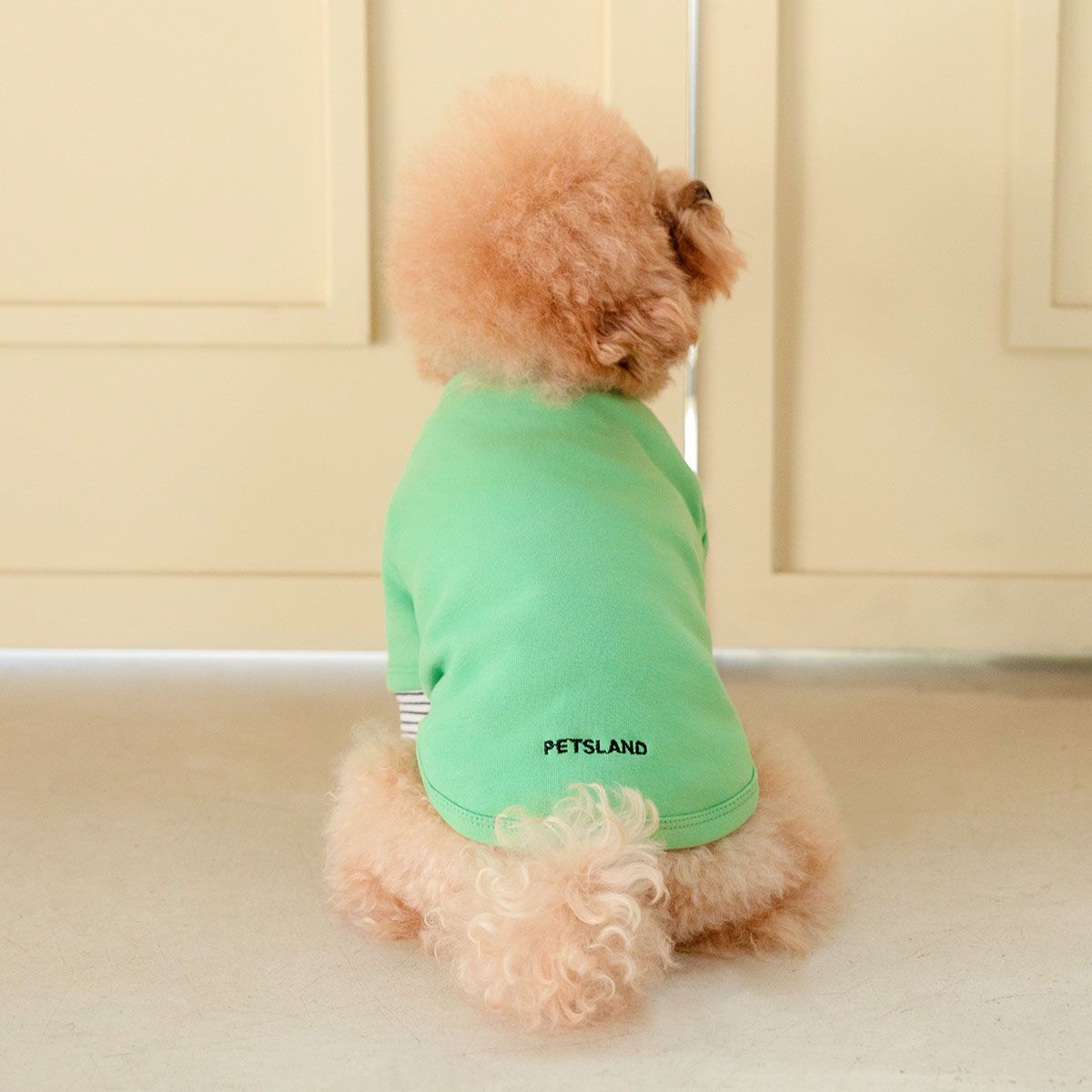 강아지겨울옷 소형견 실내복 강아지옷 레이어드 티셔츠