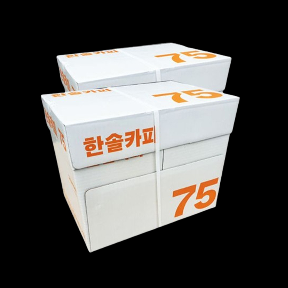 A4 5000매 2BOX 복사 용지 고급 프린트 대량 에이포 복사지 2박스 75g 사무 - 상품 이미지