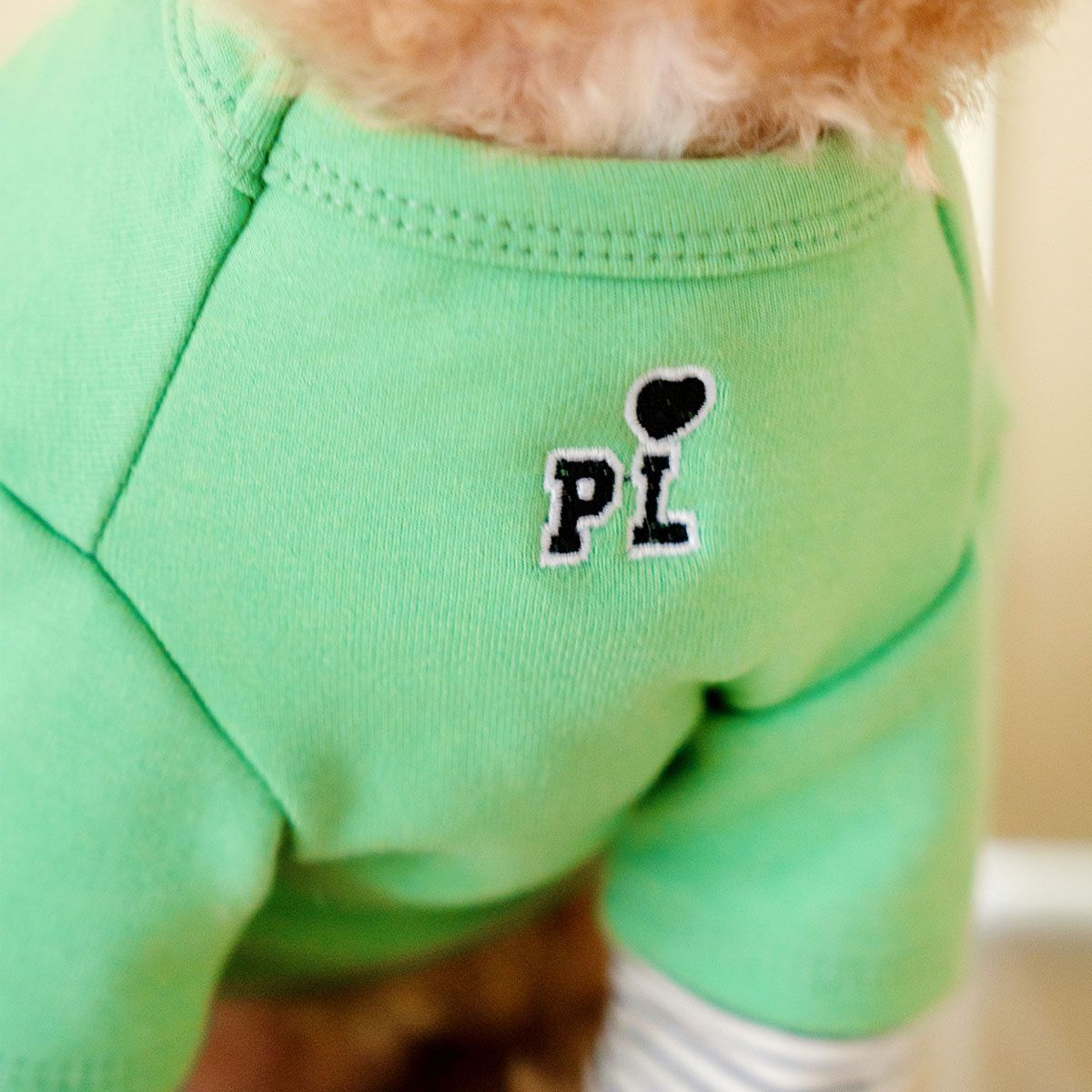 강아지겨울옷 소형견 실내복 강아지옷 레이어드 티셔츠