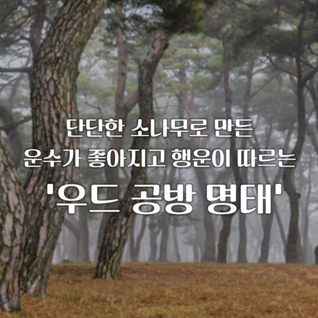 새차고사 자동차 개업 고사상 액막이명태차량 원목 고사 세트 - 상세 이미지 3