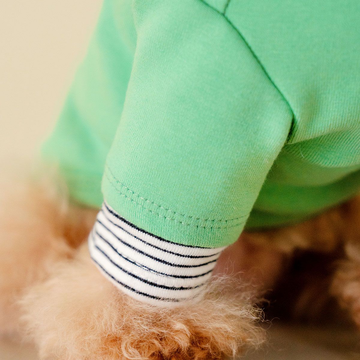 강아지겨울옷 소형견 실내복 강아지옷 레이어드 티셔츠