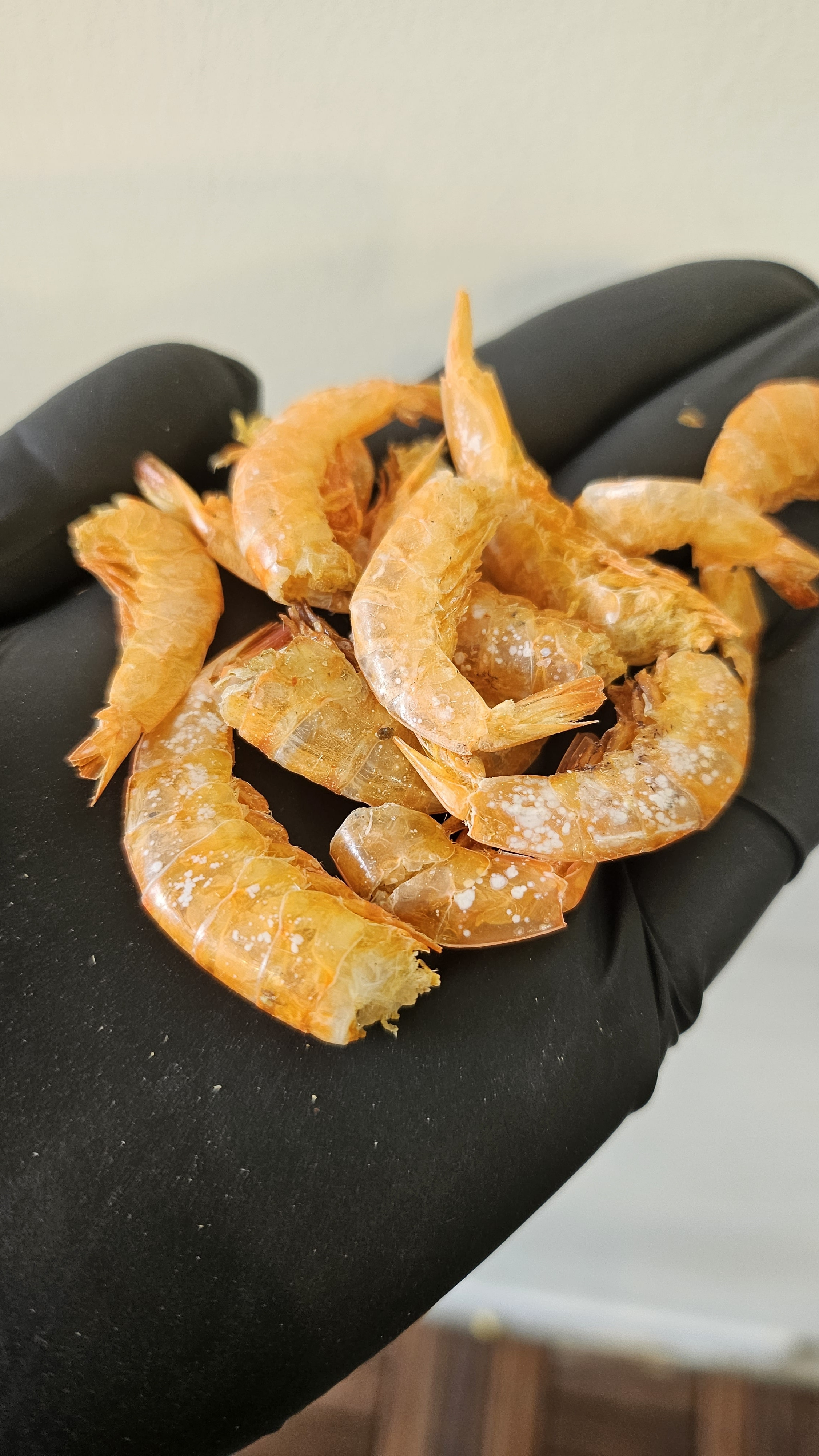 마른새우 두절150g 반찬용새우 간식용새우 두절새우 : 삼부자네숏다리와뚱문어성남점