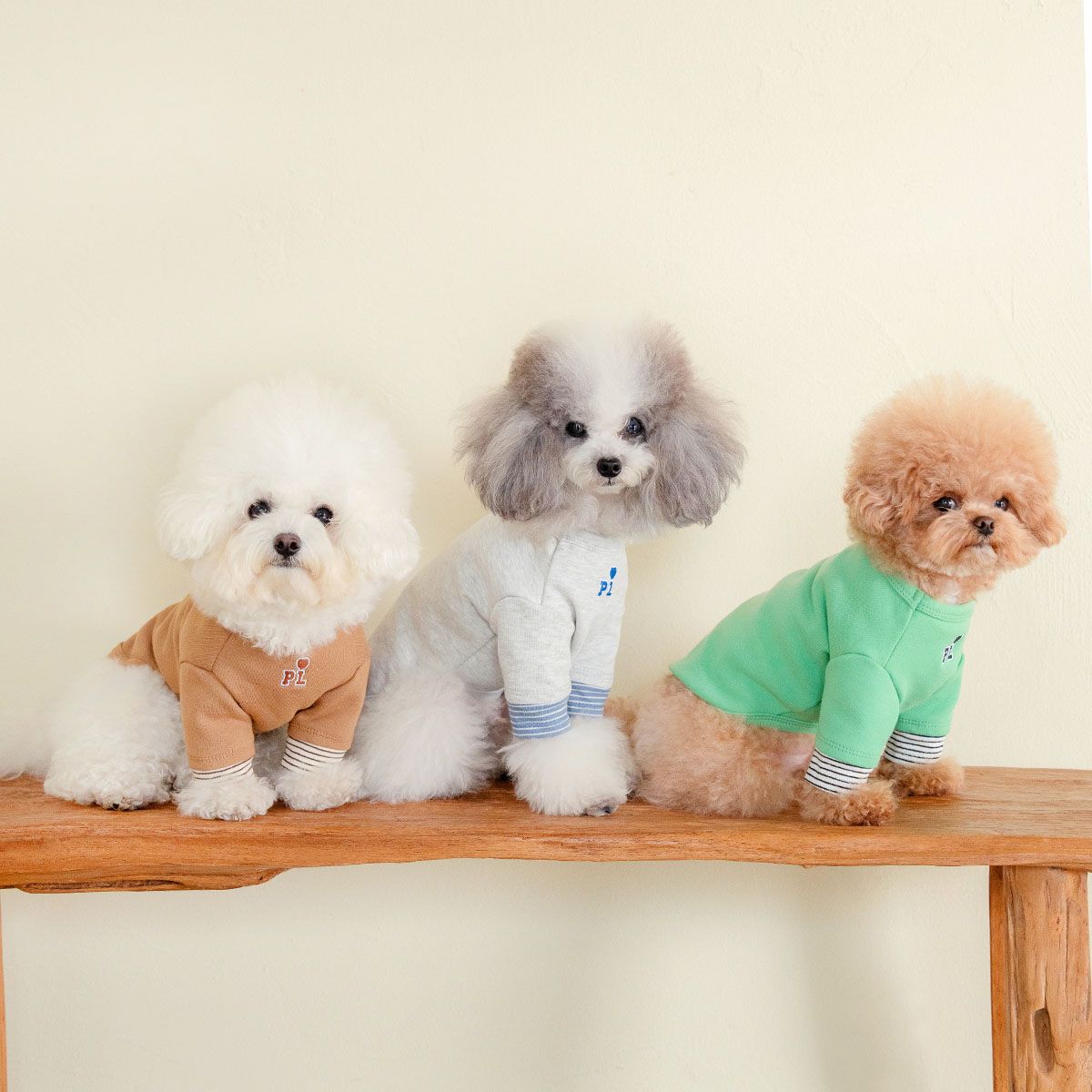 강아지겨울옷 소형견 실내복 강아지옷 레이어드 티셔츠