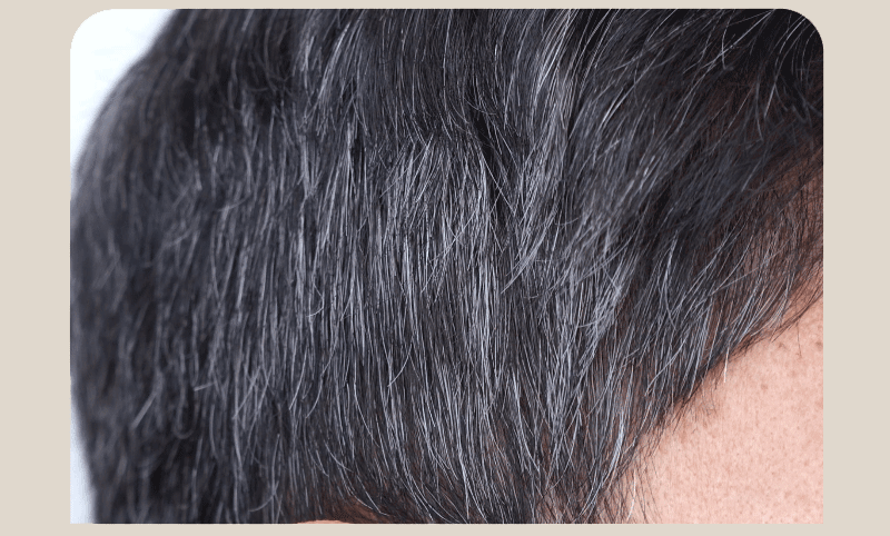 MQNY Hairline Cover Stick 2.5g