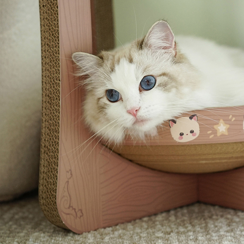 개과천선 어몽드 키큐트 고양이 스크래쳐 발톱 관리 스트레스 해소 해먹 휴식공간 침대 2단 이미지 6