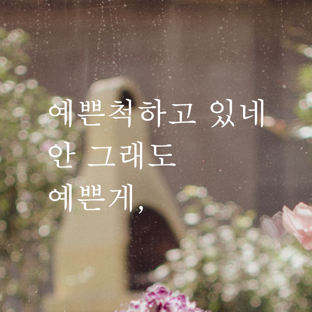 레터링 스티커 예쁜척하고 있네 안 그래도 예쁜게 L-003S 검정 - 상세 이미지 2