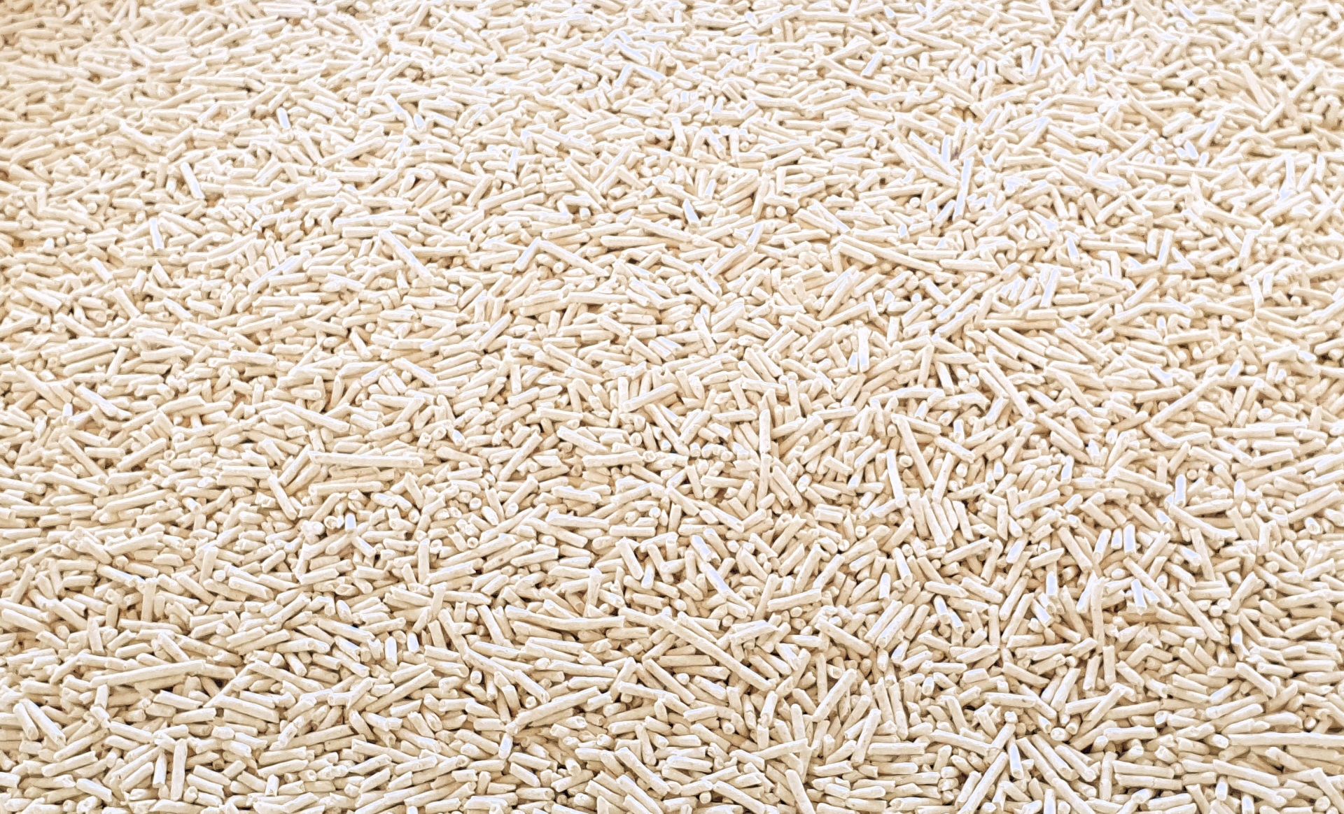두부콩콩 고양이 반려묘 화장실 두부 모래 오리지널 2.8kgx6개 - 상세 이미지 3