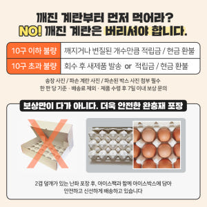 파손보상 말랑말란 무살충제 반숙란 대란 15구 맥반석 구운계란 해썹 세척... 맛있게 먹은 솔직 후기 - 상품 이미지 4