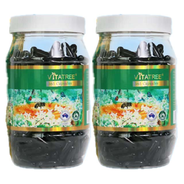 100% 호주산 비타트리 블랙 프로폴리스 2000mg 365 캡슐 페네틸에스테르 루틴 이미지 7