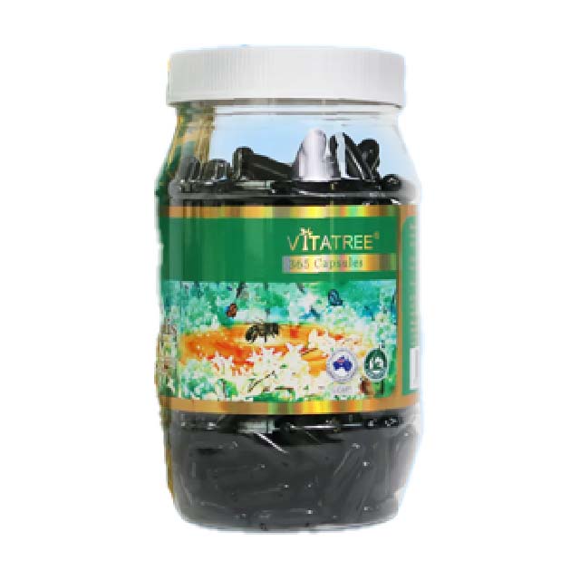 100% 호주산 비타트리 블랙 프로폴리스 2000mg 365 캡슐 페네틸에스테르 루틴 이미지 6