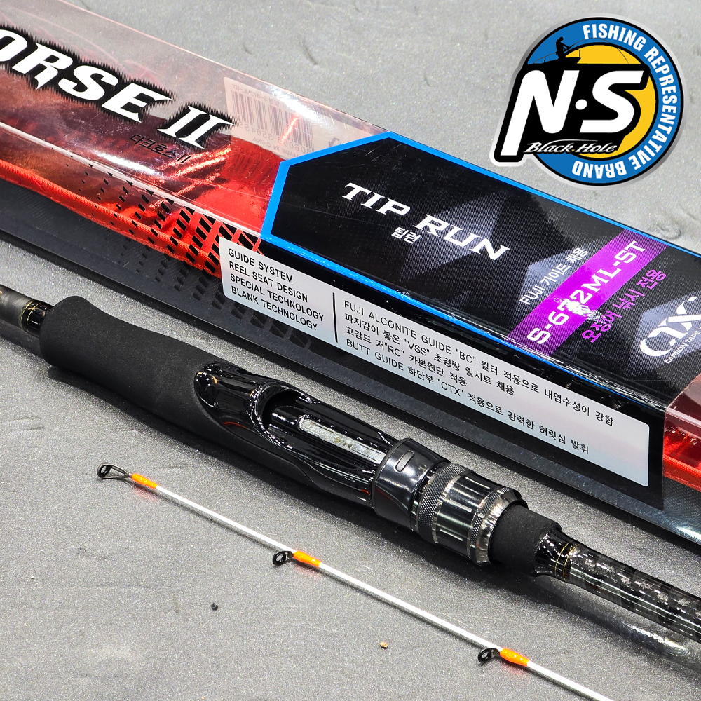 엔에스 NS 다크호스2 에깅 팁런 에깅대 에깅로드 무늬오징어 낚시대 S672-ML-ST