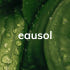 eausol - 오솔 로고
