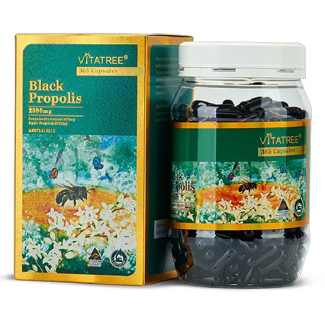 100% 호주산 비타트리 블랙 프로폴리스 2000mg 365 캡슐 페네틸에스테르 루틴 - 상세 이미지 2