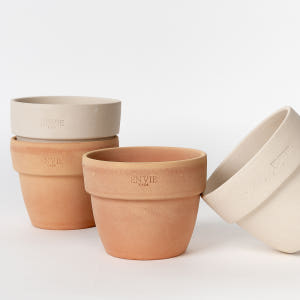 앙비까사 도토리 토분 빈티지 테라코타 이태리 독일 토분 홈가드닝 화이트베... 실사용 후기 | 효과 있을까? - 상품 이미지 2