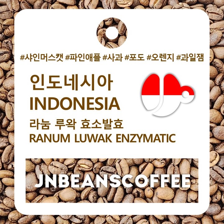 인도네시아 라눔 루왁 효소 발효 (INDONESIA RANUM LUWAK ENZYMATIC) / 인도네시아커피 - 커피원두 100 g - 상세 이미지 3