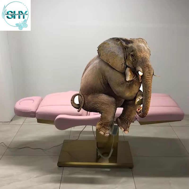 전동 리프팅 체어 의자 베드 높이 조절 미용 마사지 의료 전기 특수 - 상세 이미지 3