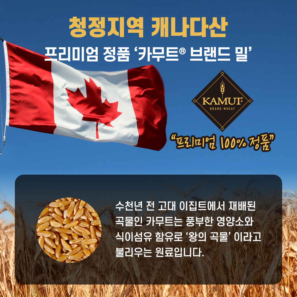 곡물 발효 효소 with 카무트 브랜드 밀 식약처 HACCP 인증 가루 분말 스틱 30포 - 상세 이미지 3