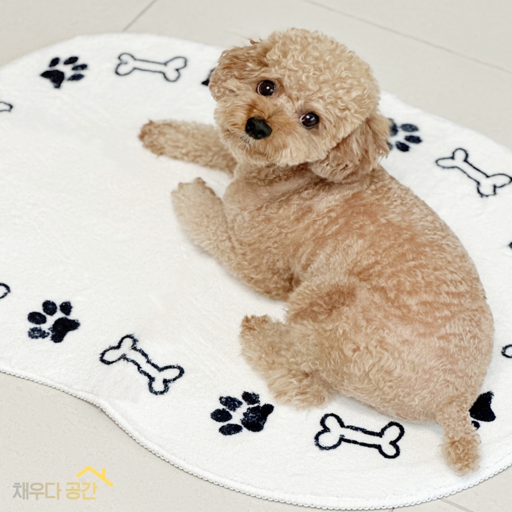 채우다공간 강아지 방석 쿠션 고양이 러그 강아지집 매트 - 상세 이미지 5