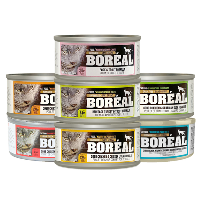 [유통기한 26년 10월] 보레알 캣 그레인프리 80g 치킨&칠면조 고양이주식캔 이미지 2