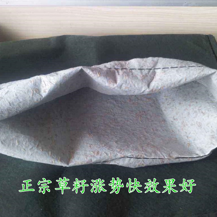 식생토낭 녹화마대 식생옹벽 옹벽 경사면 토공법 그린 에코백 40cmX60cm - 상세 이미지 4