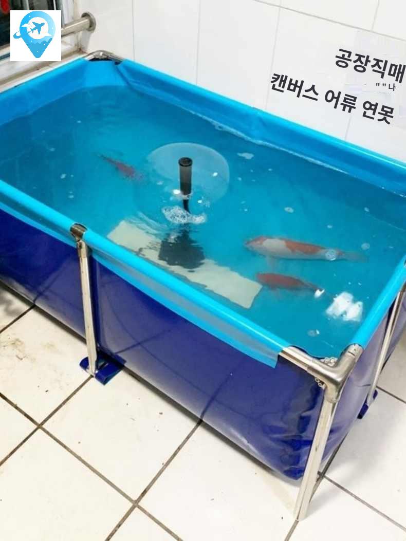 관상어 대형 사육 열대어 투명 수조 어항 사육장 물고기 대형수조 - 상세 이미지 2