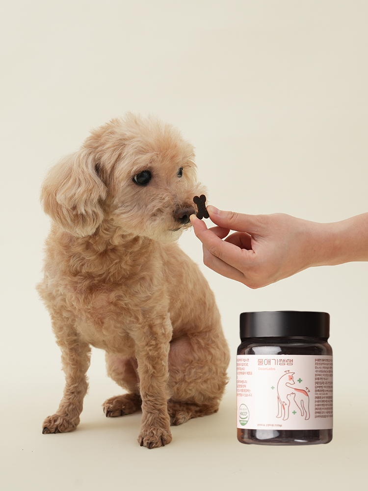 울애기쌩쌩 디어랩스 강아지 종합영양제 눈 피부 관절 면역 장 120g, 2개