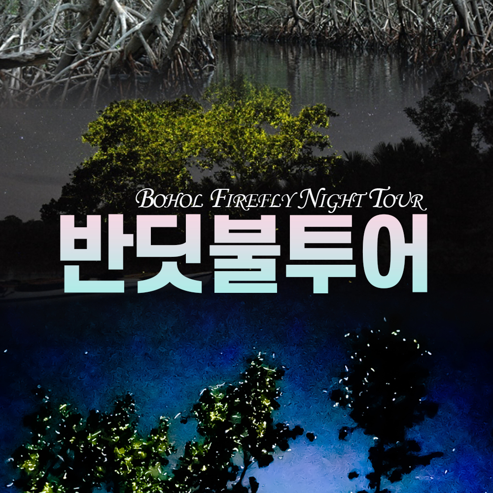 보홀 반딧불투어 로컬스타일 조인투어 합리적이고 부담없는 금액 코스 - 상품 이미지
