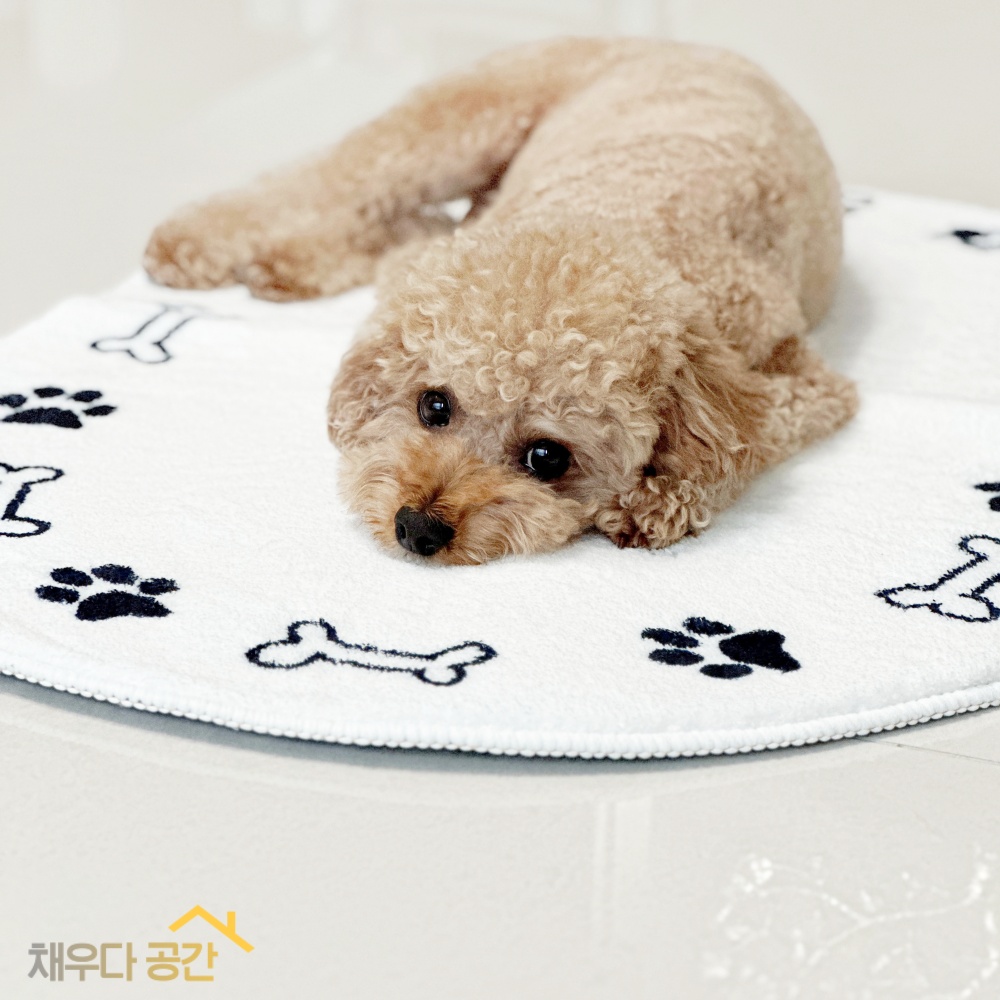 채우다공간 강아지 방석 쿠션 고양이 러그 강아지집 매트 - 메인 이미지