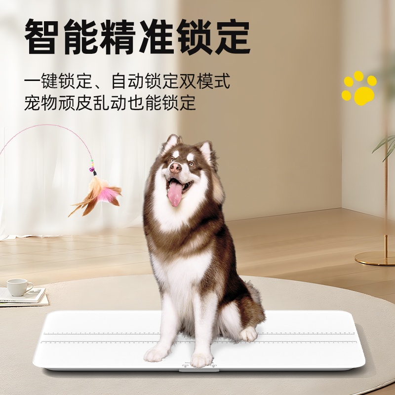 강아지체중계 고양이체중계 동물병원 충전 Xingyuebai USB 충전 - 상세 이미지 3