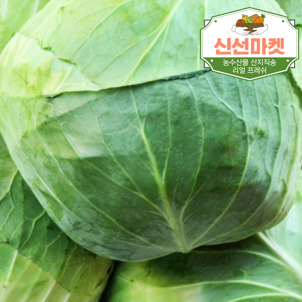 양배추 3kg 1개 - 상품 이미지