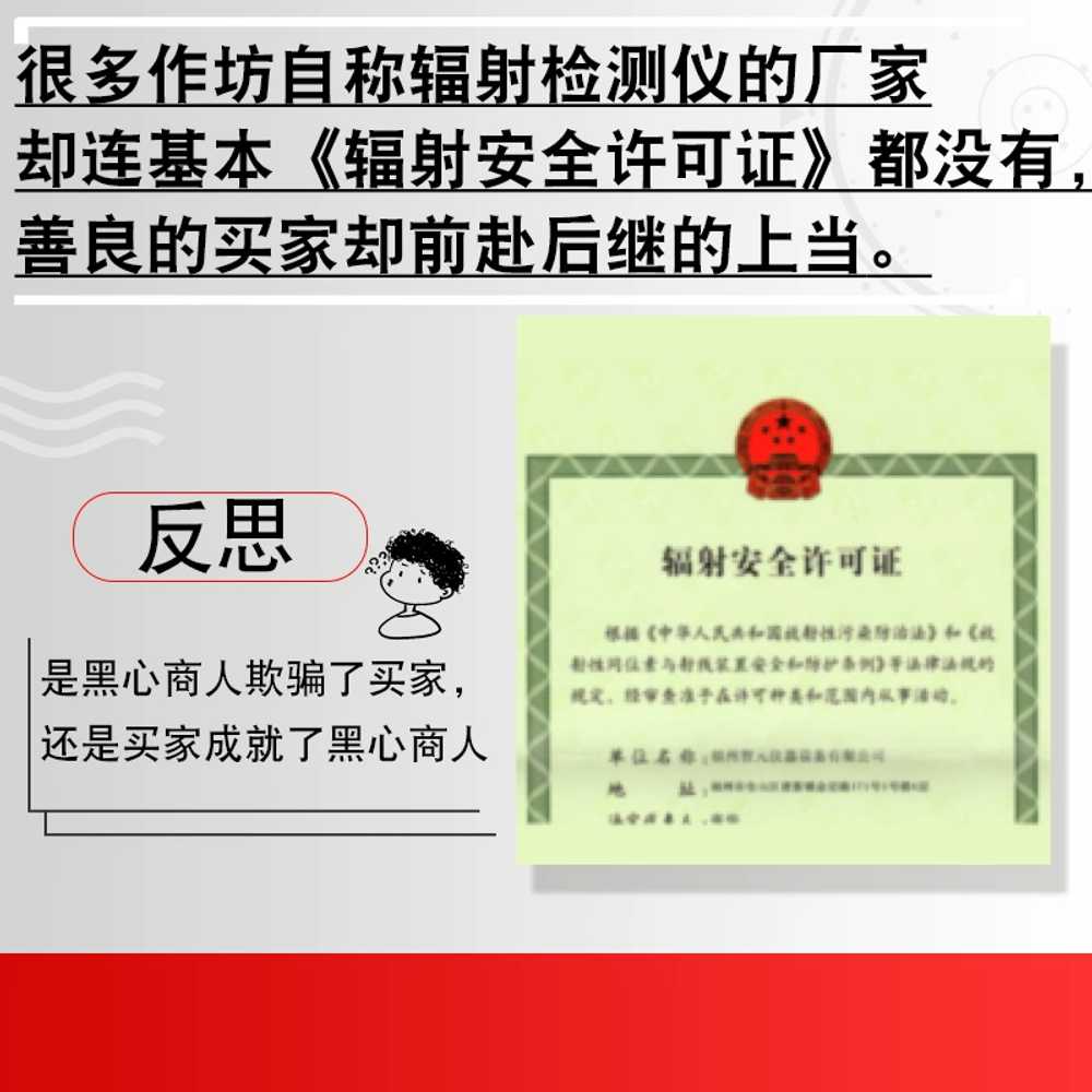 휴대용 방사능 측정기 일본 원전 테스터 감마 카운터 RG400 - 상세 이미지 2