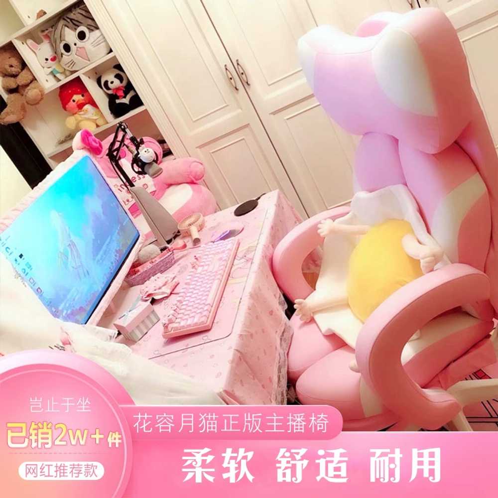 핑크의자 유튜버 기능성 체어 PC방 비제이 편한 바퀴 프린세스핑크 나일론 고정팔걸이 - 상세 이미지 3