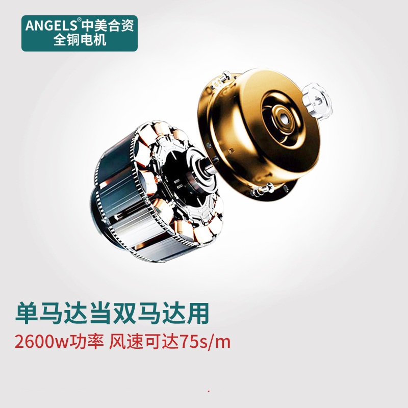 업소용 반려동물 드라이기 송풍기 건조기 목욕 및 건조 고출력 이중 모터