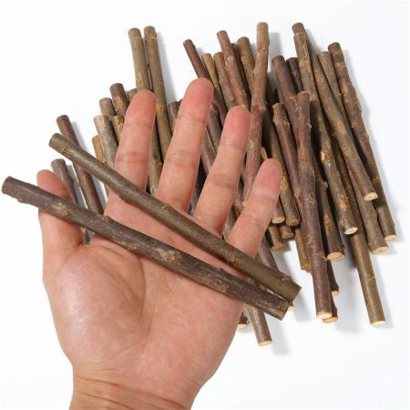 공예품용 나무 스틱 통나무 스틱 사진 소품용 천연 미니 잔가지 스틱 DIY 공예품 집 장식 20 개 40 개 60 개 : 예뻐라최고