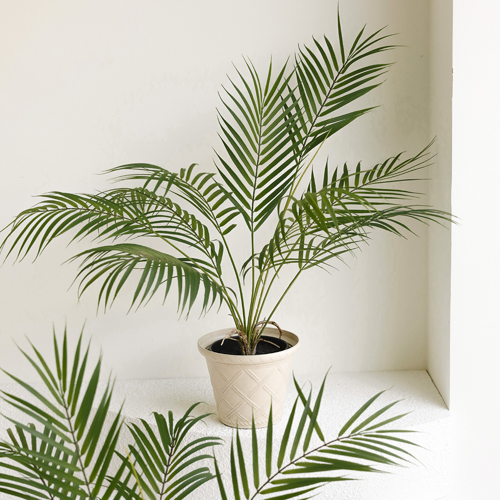 아레카야자 팜 그린 인테리어 미니 조화 화분 인조 나무 생화같은 식물 장식
