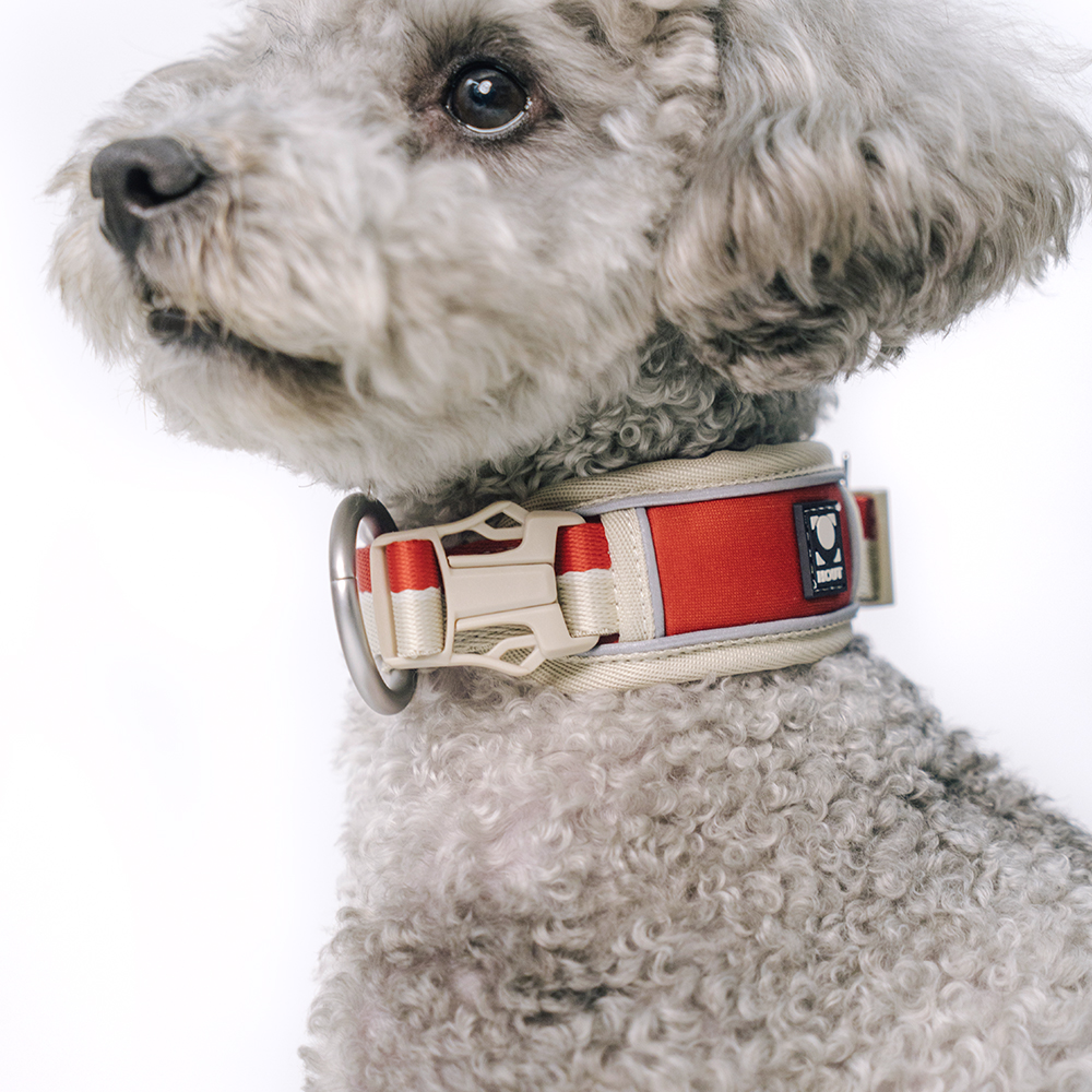 하웃 강아지 목줄 대형견 소형견 쿠션목줄 리드줄 세트