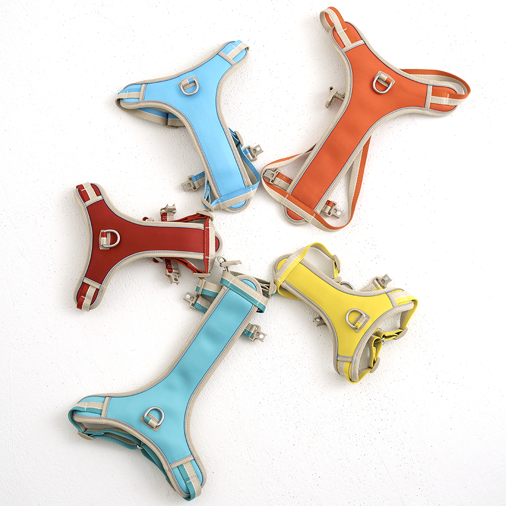 하웃 강아지 하네스 앞섬방지 가슴줄 H형 리드줄 세트